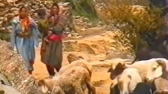 Гималаи  Долина Кулу 1997