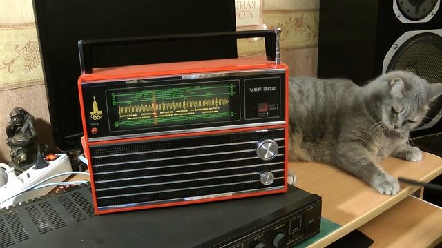 Кот меломан чуть не скинул радиоприёмник смотреть онлайн