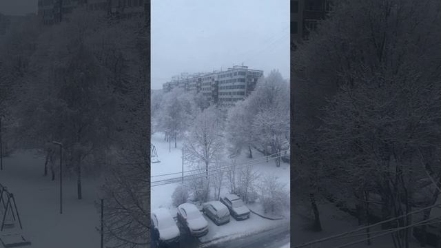 Синий, синий иней/ Здравствуй, песня/ Ретро/ Диско/ Дискотека 80. смотреть онлайн