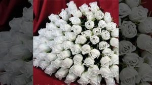 Гулжигит Сатыбеков '' Кетеличи Аксыга. ''