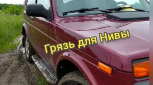 Стоковая Нива на штатной резине по бездорожью.