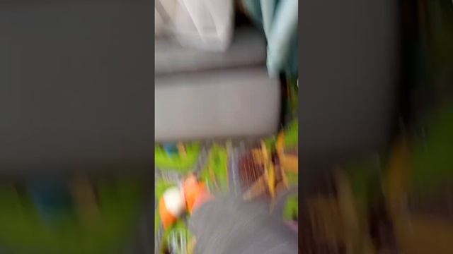 23 марта 2024 г. смотреть онлайн