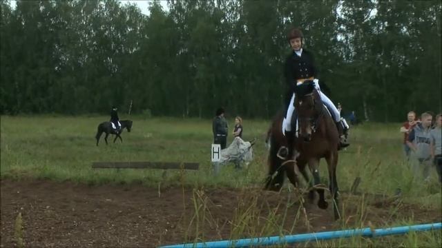 Нижегородский ипподром. Выездка 25.06.16. Анастасия Марова - Корнет. ППД-А. смотреть онлайн