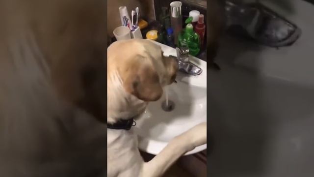 Утро 1 января. смотреть онлайн