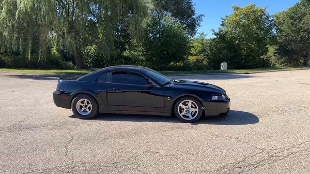 Is The 2003/04 SVT Cobra Terminator Overrated смотреть онлайн