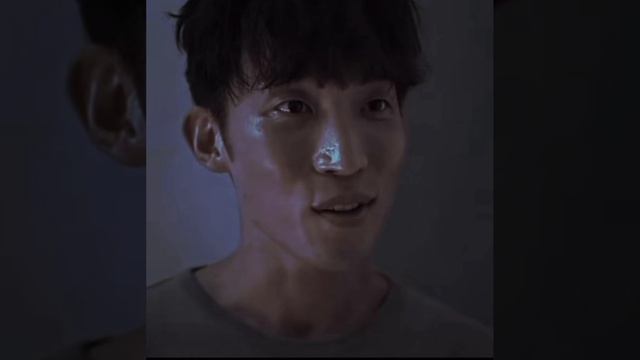 Охотничьи псы