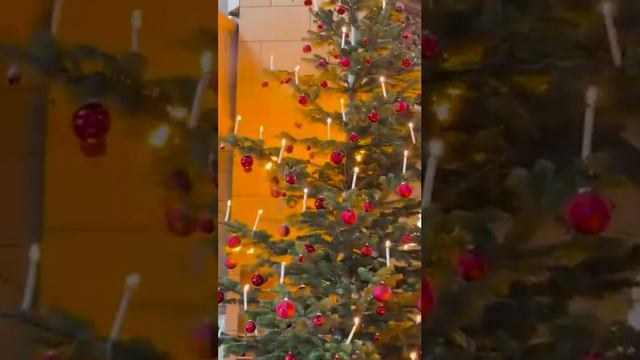🎄Вот такой необычный способ зажжения елки придумали в католической церкви смотреть онлайн