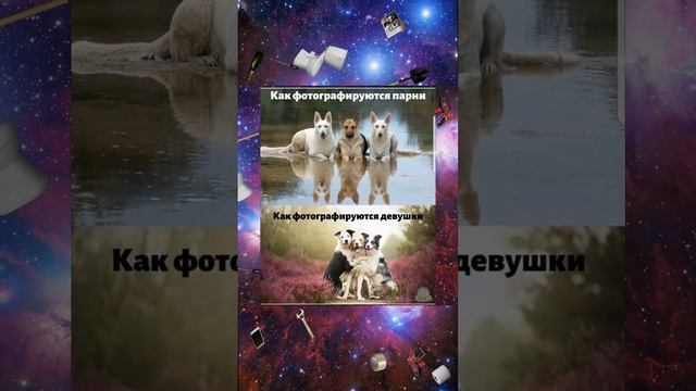 Фотосессия