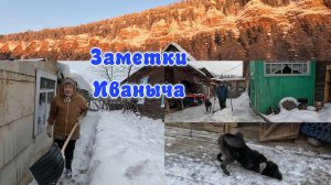 Снегу бой, побег собак