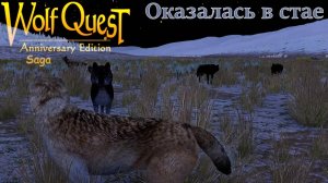 Первый взгляд на продолжение WolfQuest: Anniversary Edition Saga №1