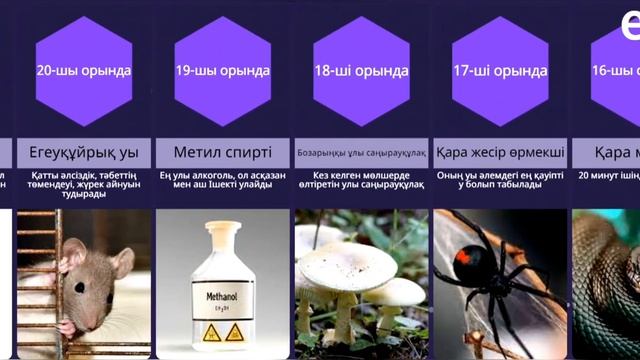 Сіз білмейтін ең қауіпті у. смотреть онлайн