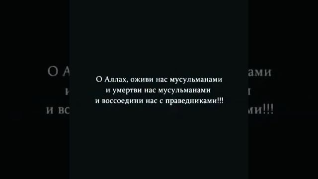Послушайте доконца,мои дорогие братья и сёстры! #исламскиевидео смотреть онлайн
