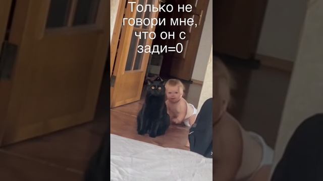 Кот и ребенок