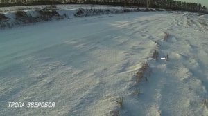 ОХОТА НА ЗАЙЦА БЕЛЯКА. ЛЕНИВЫЙ ЗАЯЦ ПОПАЛСЯ