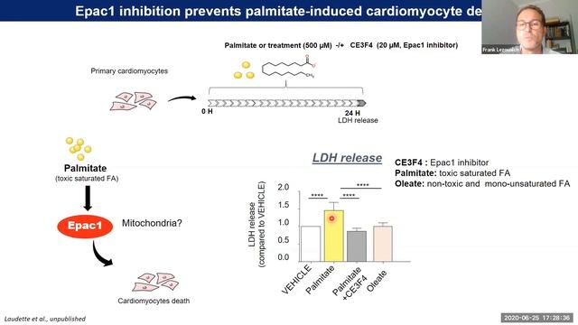 Dr Frank Lezoualc’h - "cAMP binding proteins in cardiac diseases" смотреть онлайн