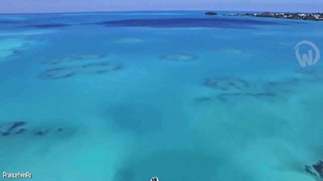 This Ship Reappeared 90 Years After Its Disappearance in the Bermuda Triangle смотреть онлайн