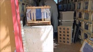 майские медовики и пчелопакеты