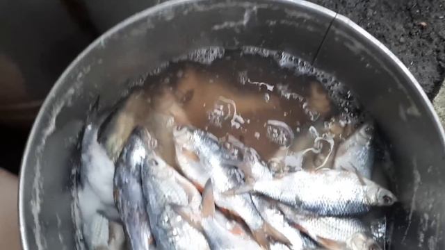 ТРИ ДНЯ ДУЖЕ ОПАСНО!!!! смотреть онлайн