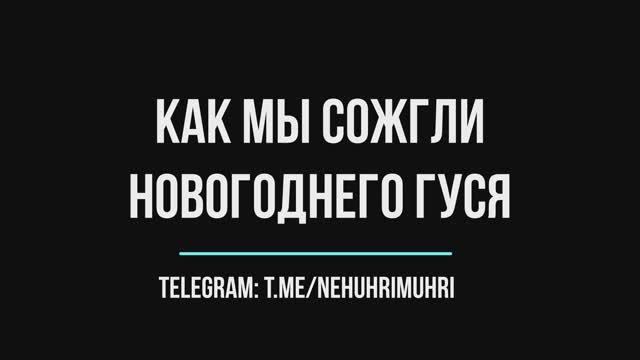 Как мы сожгли новогоднего гуся (эпический фейл) смотреть онлайн
