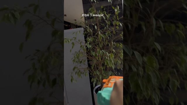 А как прошло у вас 1 января?)