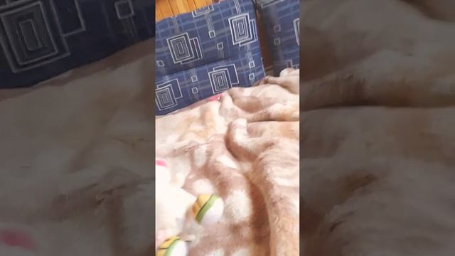 рататуй смотреть онлайн