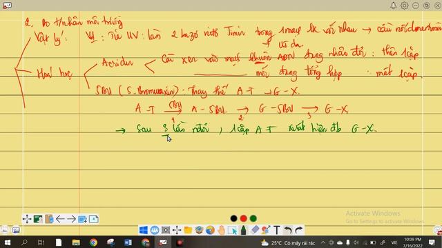 Ôn Thi Sinh Học: Bài 4 - Đột Biến Gen (Lý Thuyết)