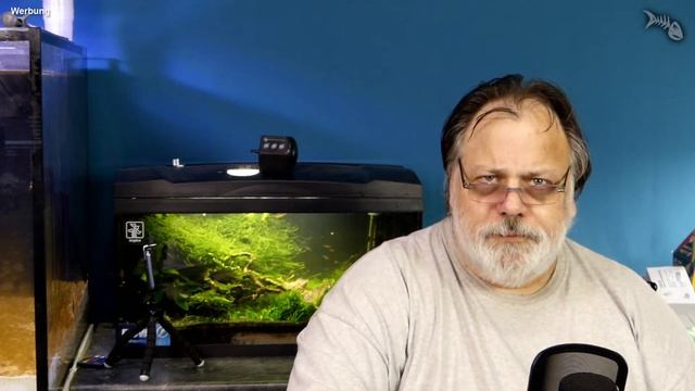 Livestream - Q&A - Das Säurebindungsvermögen - Verlosung aus Livestream vom 2.10.2021 смотреть онлайн