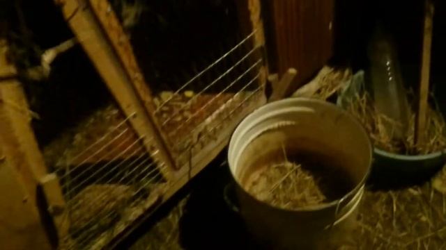 Барабанщик