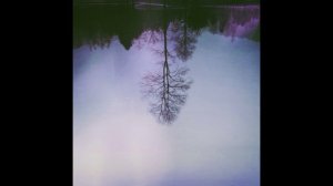 Sunbyonic - Sympodial inflorescence