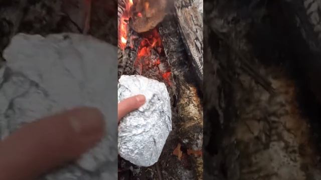 Одно большое видео про печеный на углях картофель в фольге. смотреть онлайн
