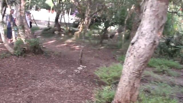 Там пролито много крови! Чечен -Ица.. Мексика.