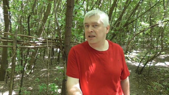 Человек гуляет в лесу смотреть онлайн