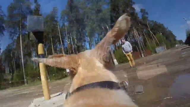 The Walk смотреть онлайн