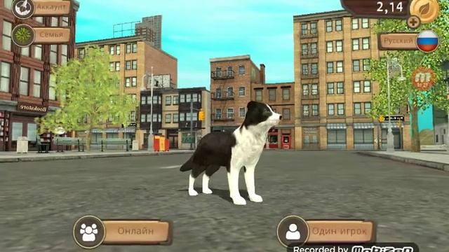 Даю аккаунт на 200.999 уровень в Dog Sim пароль Mypmyp