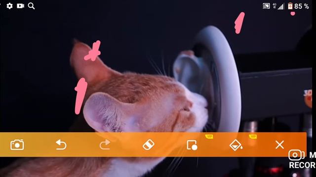 есемер с катами