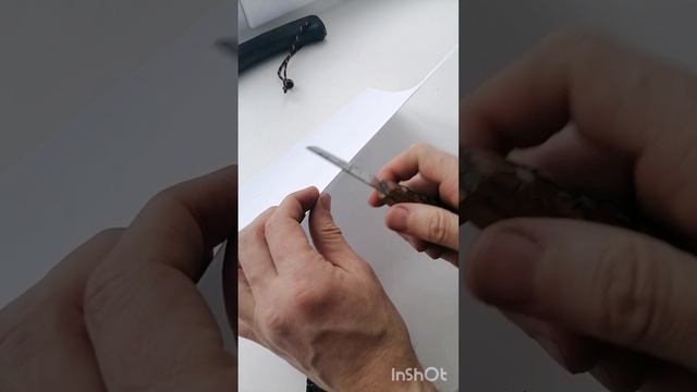 InShot_20250102_144536702.mp4