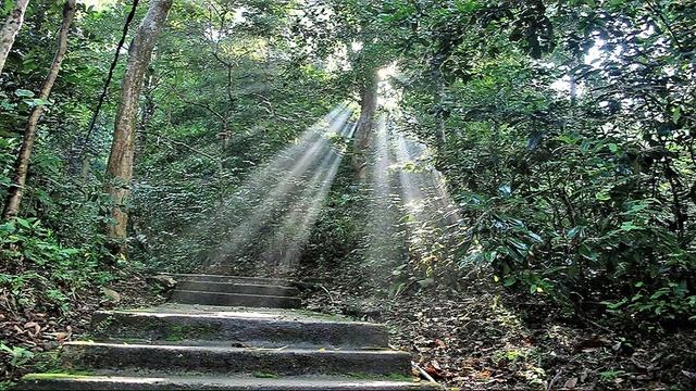 Kalalgoda Vipassana Centre - Eng|02|Bhaddaka Sutta|Ven Panadure Chandaratana Thero|2023-12-08 смотреть онлайн