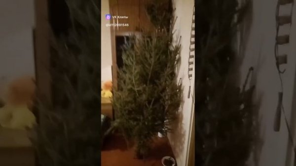 МОЙ КЛИП https://ok.ru/messages/join/Y2w966_K9qsVfTp-4TiP_aojZp4kITiOS8RhdeQEvTk8yl8OPGoPm-TrGWzrzzB