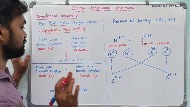 Cytoplasmic Inheritance | Genetics | V Senthilnathan смотреть онлайн