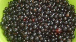 Смородина на зиму. Маринкины творинки