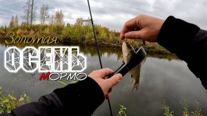 Ловля мирной рыбы спиннингом. Осень. МОРМЫШИНГ НАНОДЖИГ УЛЬТРАЛАЙТ