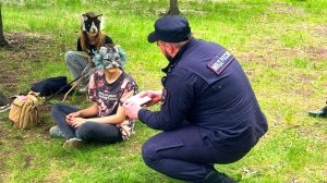 Что делать, если к вам на улице подбежал Квадробер? И кто это вообще?