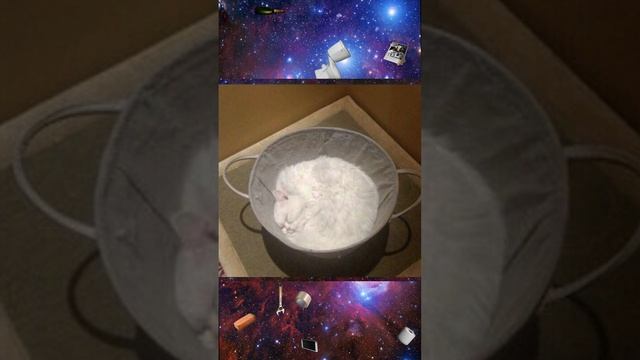 Червяк Баффер