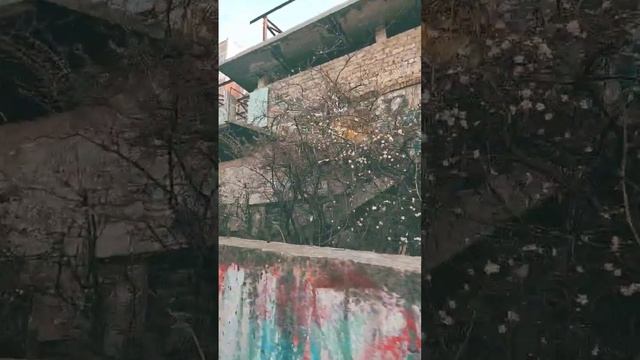 новый обзор совсем скоро смотреть онлайн