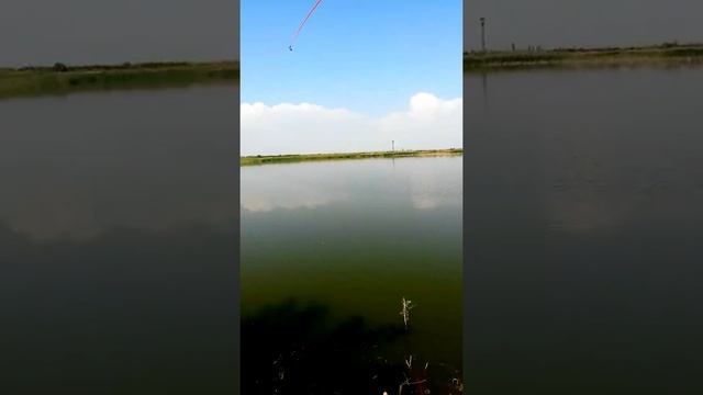 RIBALKA V ARMENI DZKNORSUTYUN Вот это Рыбалка)))))!!! смотреть онлайн