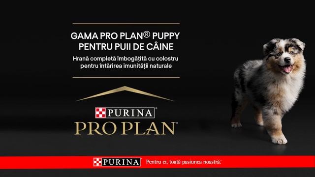 PURINA® PRO PLAN® PUPPY Susține Sănătatea Puiului Tău De Câine