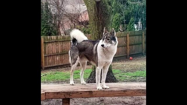 Просто Рита