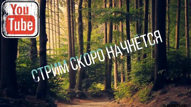 Валерьянт стрим #Cerberus - вз уместны смотреть онлайн