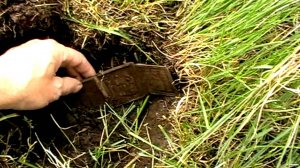 Зачетный коп на Волге.Трехстворчатый складень