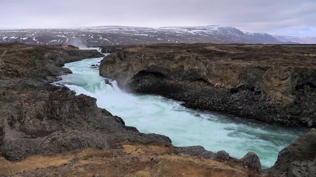 Secret garden смотреть онлайн